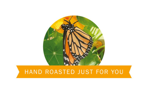 SJI Coffee Roasters | Coffee | Mexico - Whole Bean