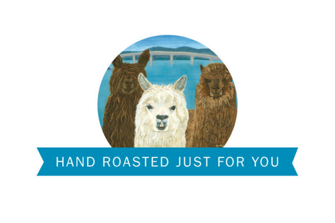 SJI Coffee Roasters | Coffee | Peru Pangoa - Ground