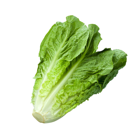 Fresh Produce | Romaine Lettuce