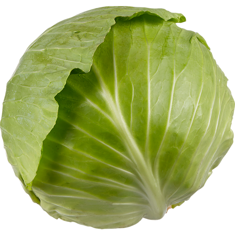 Fresh Produce | Cabbage