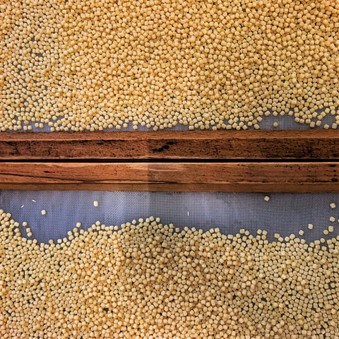 Favuzzi | Fregola